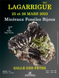 1er SALON MINERAUX FOSSILES BIJOUX de LAGARRIGUE (Tarn). Du 25 au 26 mars 2023 à LAGARRIGUE. Tarn.  10H00